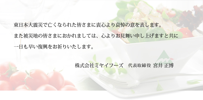 株式会社ミヤイフーズ/野菜サラダ