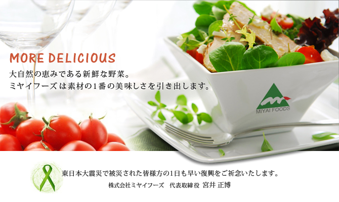 株式会社ミヤイフーズ/野菜サラダ